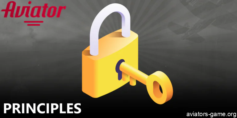 Core Principles of the Aviator Privacy Policy in India